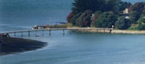 Raglan's Kopua Footbridge in 1992