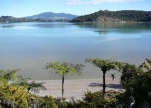 Whaingaroa Harbour - Image John Lawson