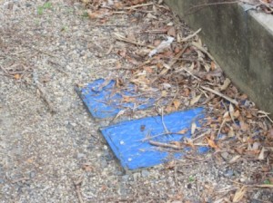 Expensive steel water meter cover in Raglan driveway