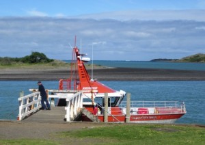 Raglan Coast Guard to be in search and rescue exercise 