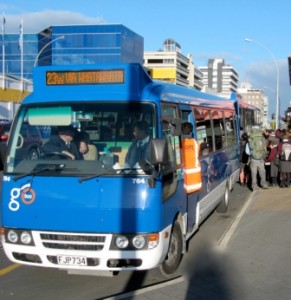 The costly Route 23 buses - smaller Whatawhata bus at front and Raglan bus behind