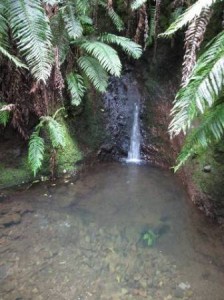 Waterfall on Karioi Southern slopes