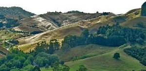 View from Ramblers walk in Old Mountain Rd area