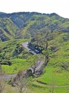 The Route 23 bus heads down the divi on SH23 towards Raglan