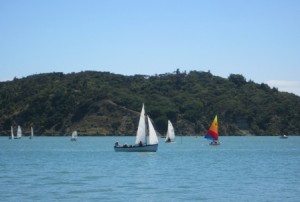 Sailing on Raglan Habour