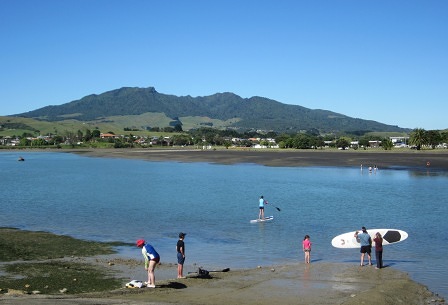 Stand up paddle boards on Opotoru Estuary with Mount Karioi in the background.