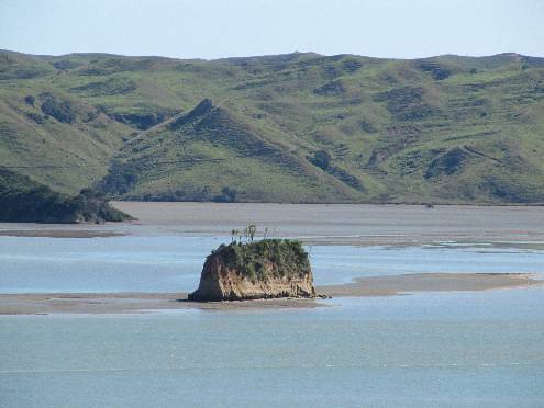 Harbour view from Paritata Peninsula - Image John Lawson