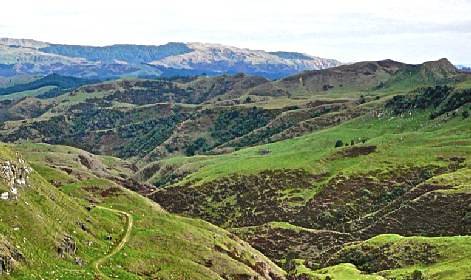 Waitetuna organic farm for Ramblers - Image John Lawson