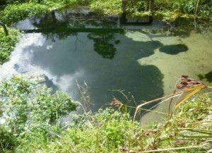 Plenty of water at the source - Image John Lawson