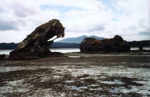 Rocks around Aotea Harbour 