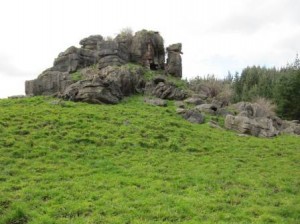 A craggy outcrop of Elgood Limestone in lower Waitetuna Valley