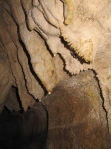 Cave on Nikau Walk