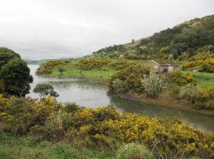 Harbour inlet on Te Akau walk - Image John Lawson