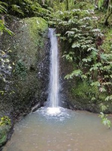 Cascades on Hakarimata trail - Image John Lawson