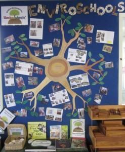 A tree showing the many branches of Raglan Kindy's Enviroschools' activities