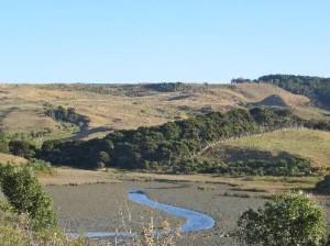 Omahina Creek- Image John Lawson