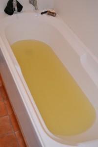 Bath full of water that looks like urine