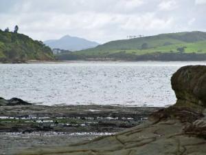 Inner harbour view on Wharf to Greenslade Rd walk