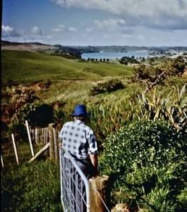 1996 gate to beach photos by Anna Silcock