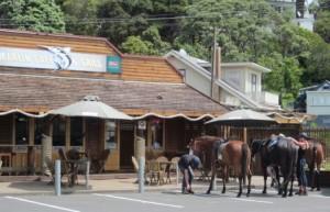 Horses at the Marlin