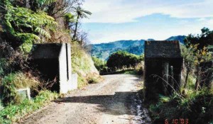 WW11 Tank Traps—Old Mountain Road, Waitetuna - Image WDC