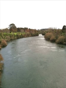 Ramblers to walk alongside the mighty Waikato - Image John Lawson