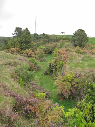 Walk to Te Uku Wind Farm where the road cutting shows the partly formed road to Waitetuna started in 1908, but never completed after the First World War. Image John Lawson