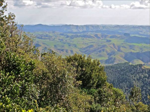 View from the Hakarimatas - Image John Lawson