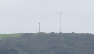 Raglan's celluar radio towers from left to right: 2 Degrees, Vodafone, Spark