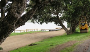 The loop road running through the reserve