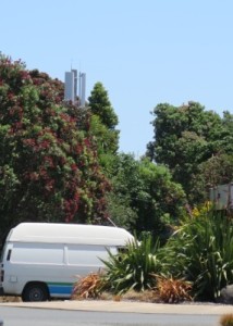 Spark's new shorter tower nestled in the pohutukawas at 7 Wainui Rd.