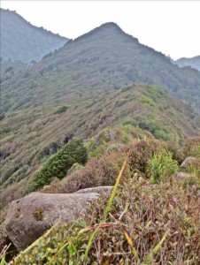 Heading up Mt Karioi from the steep side. Image John Lawson