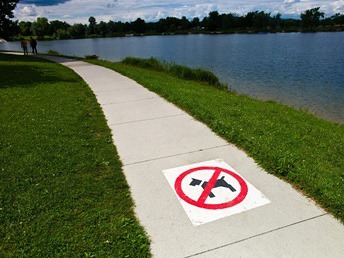 No dog sign painted on footpath. Image WDC