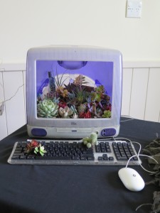 People's choice entrant - iMac Garden