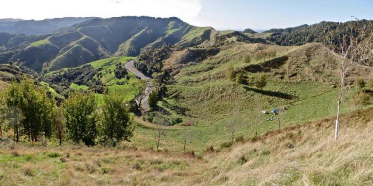 View of Hillary – Hope Reserve - Image John Lawson