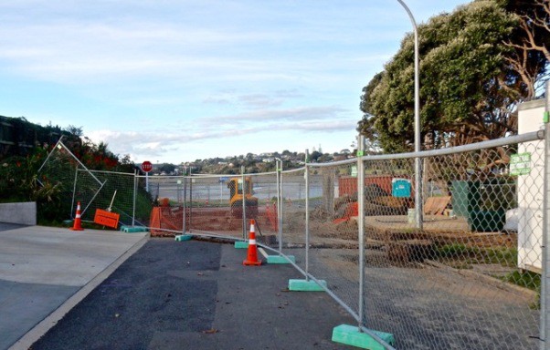 Niihinihi Avenue - road and footpath now completely blocked - Image John Lawson