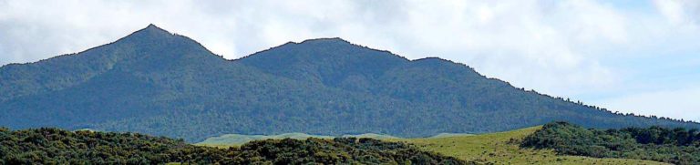 Ramblers to take a new route to the top of Karioi - Image John Lawson