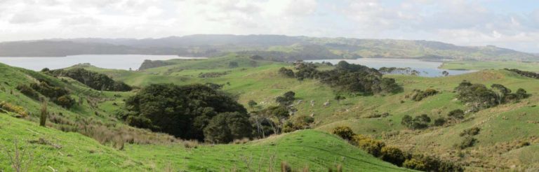 View on the Ohautira Rd to Cogswell walk - Image John Lawson