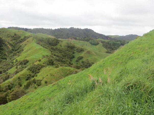 On the Cogswell Rd to divi walk you get some good views. Image John Lawson