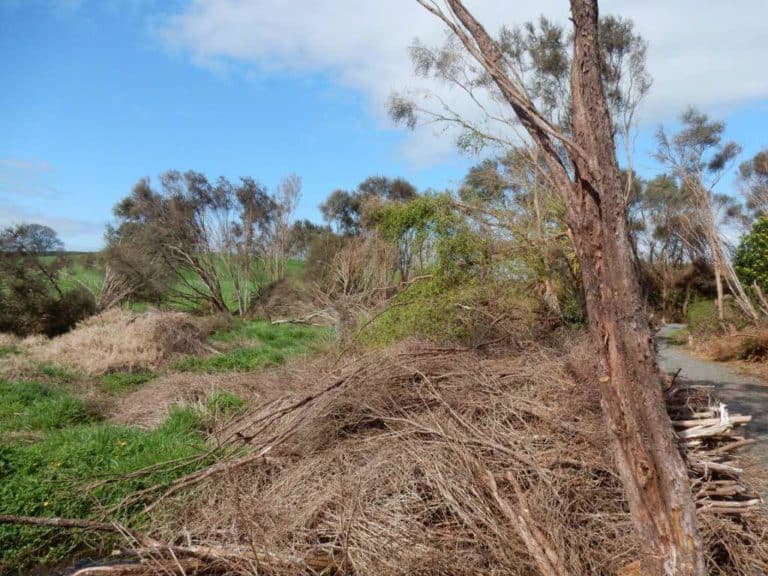 This track goes around some of the Ohaupo peat lakes. Image John Lawson