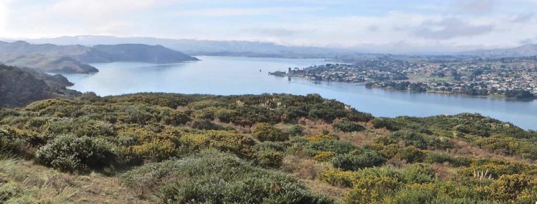 Along the way there are five kilometres of views over Raglan - Image John Lawson