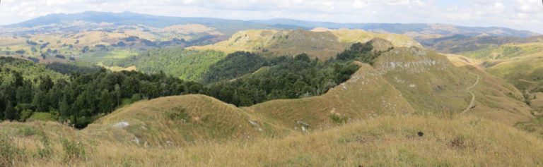 View from Karamu Walkway. Image John Lawson