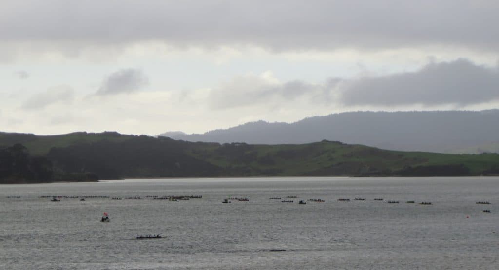 In the 8km W6 Open, Novice and Junior race waka cross the inner harbour off Lorenzen Bay