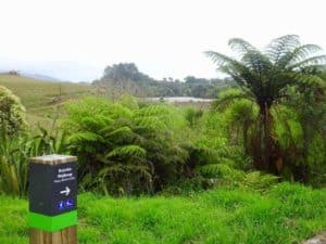 Marker post on Kaitoke Walkway - Image John Lawson