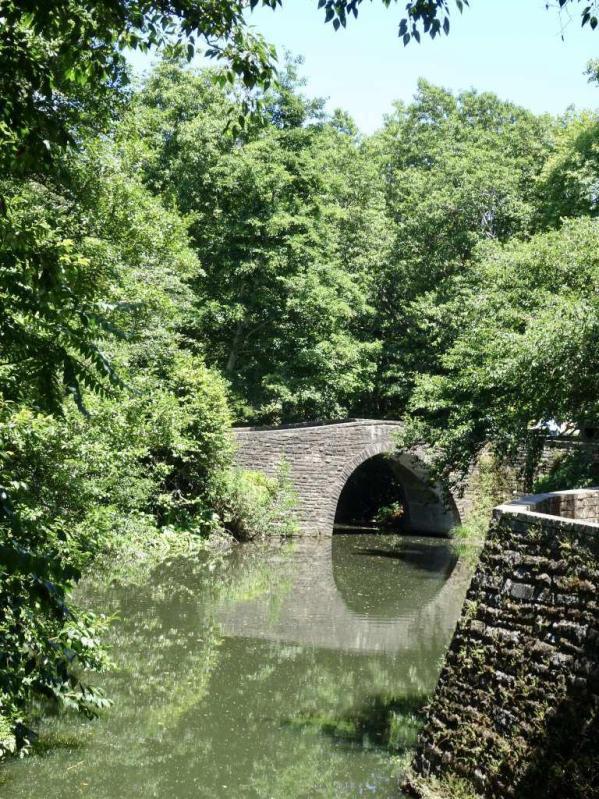 Footbridge across stream in Hamilton Gardens - Image John Lawson