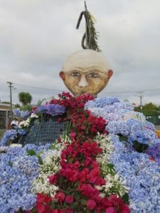 Jack and the Beanstalk by the Raglan Horticultural Society