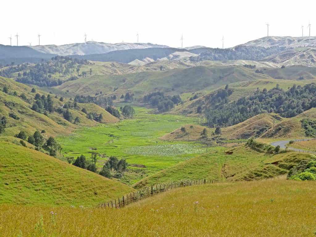 Pakihi valley - Image John Lawson