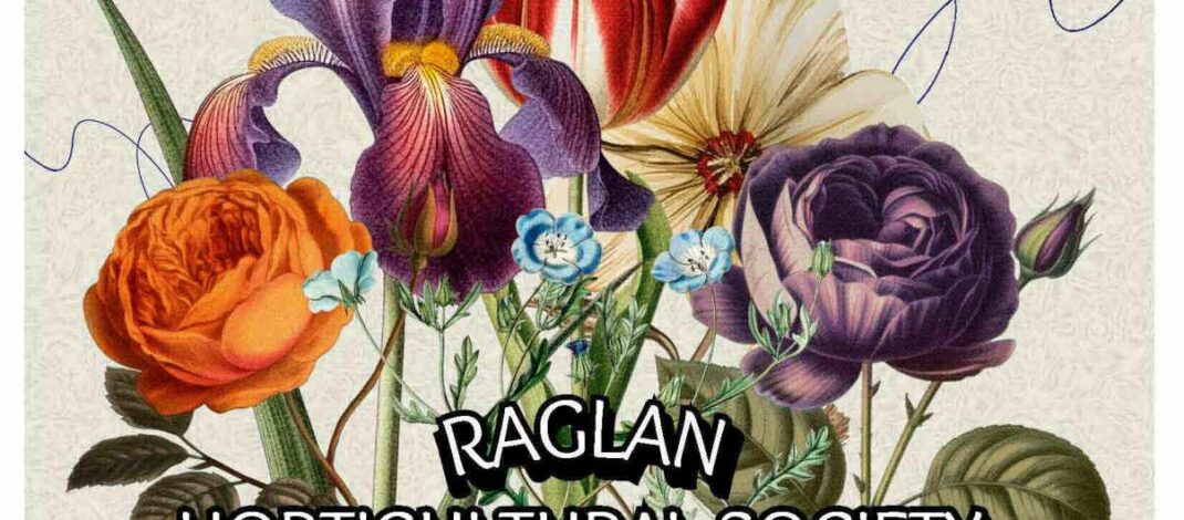 Nov 9: Time for a ramble around Raglan gardens